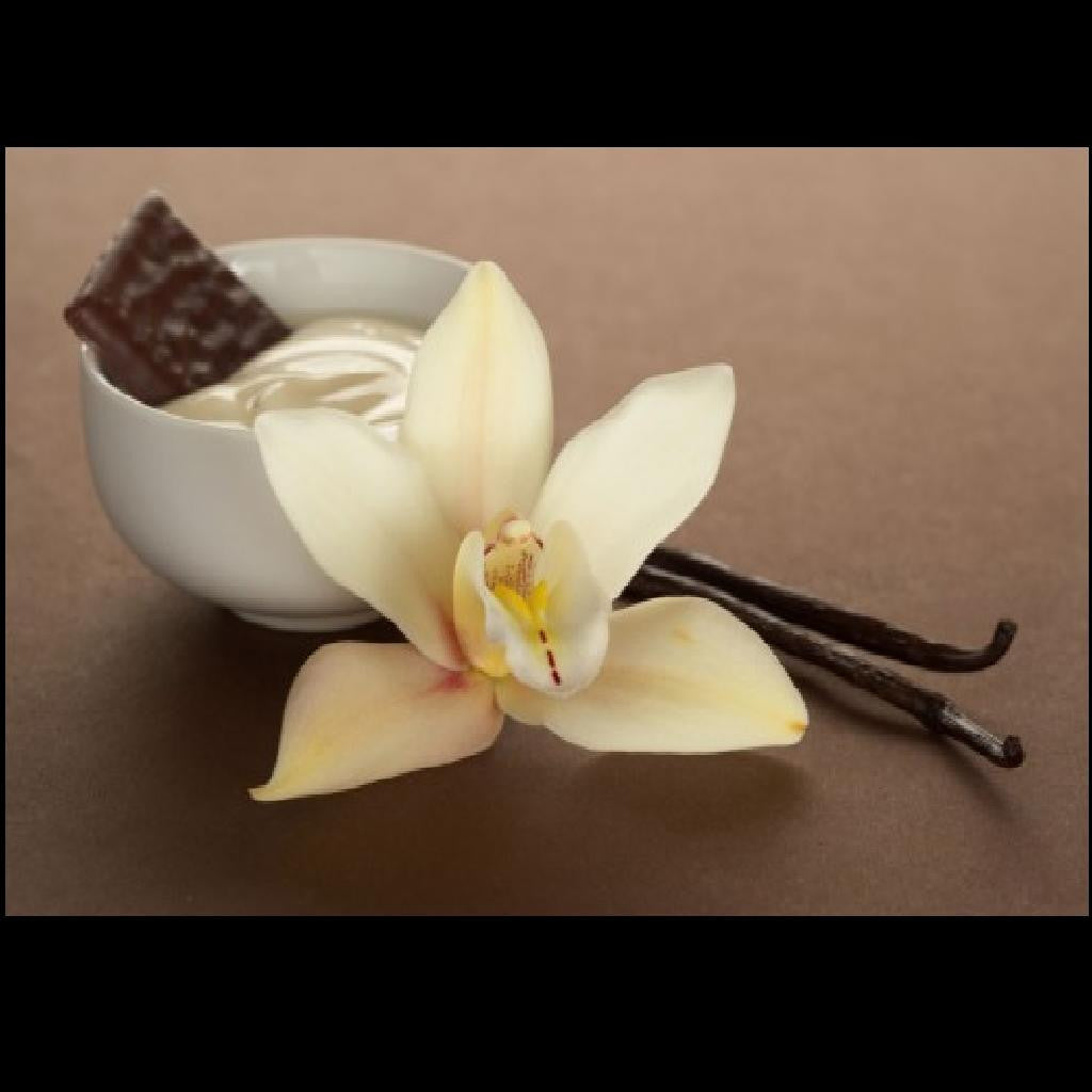 French Vanilla Deluxe
