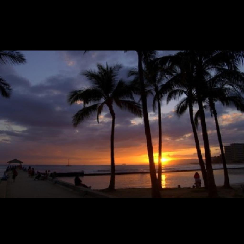 Hawaiian Nights
