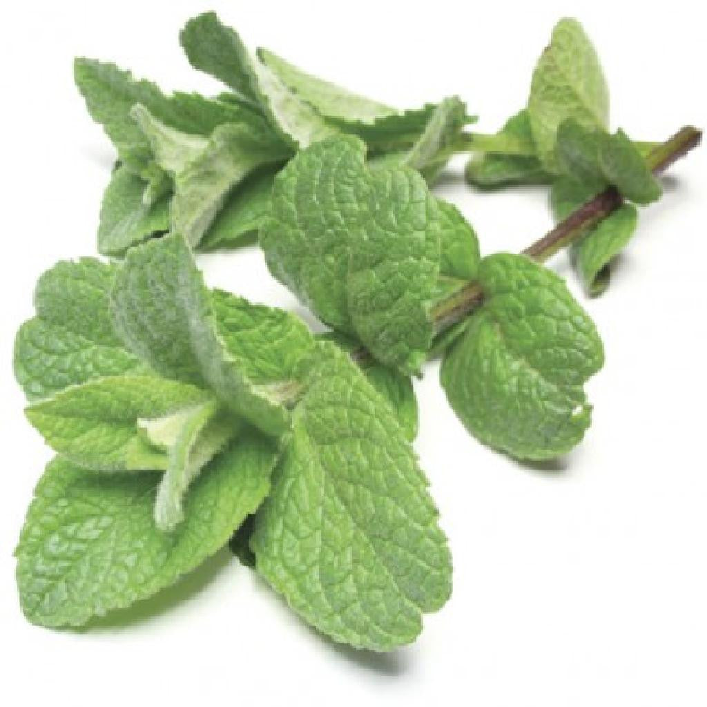 Menthol Smooth